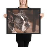 Tableau Bulldog Mâle Noir et Blanc