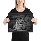 Tableau Animaux Tête de Lion Noir et Blanc