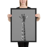 Tableau  Girafe Noir et Blanc Géante