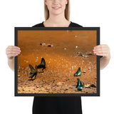 Tableau Envolée de Papillons au Pluriel