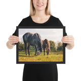Tableau Chevaux Le Duo