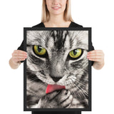 Tableau Chat Coloré Yeux Verts