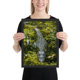 Tableau Crocodile Camouflé