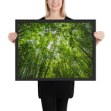 Tableau bambou et ciel ensoleillé