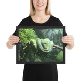 Tableau Animaux de Serpent Vert Émeraude