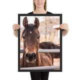 Tableau Chevaux Pur-Sang Profil
