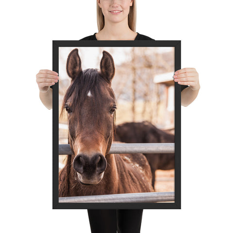 Tableau Chevaux Pur-Sang Profil