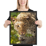 Tableau Tête de Panthère