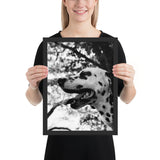Tableau Dalmatien Chien