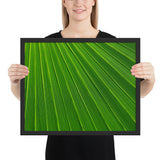 Tableau tropical feuille verte brillante