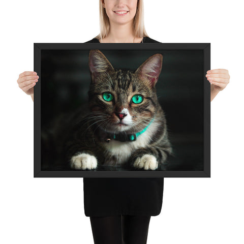 Tableau Chat Coloré Yeux Vert