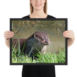 Tableau Petite Loutre