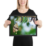 Tableau Moderne de Papillons