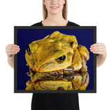 Tableau de Grenouille Animaux