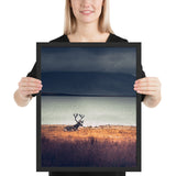 Tableau Animaux Caribou au Soleil