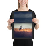 Tableau Animaux Caribou Lointaine Sagesse