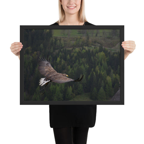 Tableau Aigle La Chasse