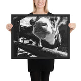 Tableau Vache Noir et Blanc Zoom