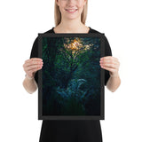 Tableau jungle tropical coucher de soleil