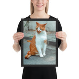 Tableau Chat Tigre Poil de Carotte aux yeux Verts