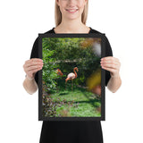 Tableau avec Flamant Rose Moderne