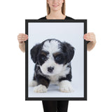 Tableau Chiot Tachés