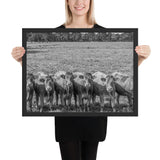 Tableau avec Vaches Blanche En Rang