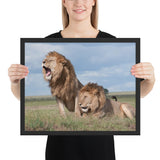 Tableau Lion grand format