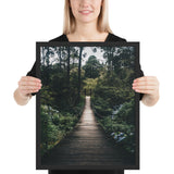 Tableau Arbre Nature Forêt (Le Pont suspendu)