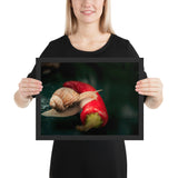 Tableau Animaux Escargot