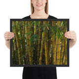 Tableau toile bambou geant