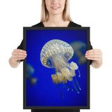 Tableau de Méduse Blanche dans l'Océan