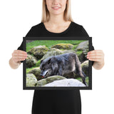Tableau Animaux Loup Noir Sautant