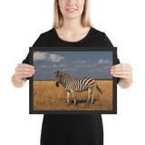Tableau déco Zebra