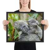 Tableau Koala et sur son Dos