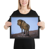 Tableau Animaux Lion en Couleur