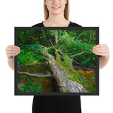 Tableau tropical arbre couché
