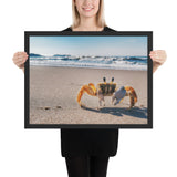Tableau Crabe sur la plage
