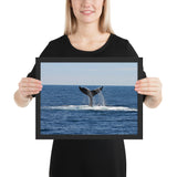 Tableau Baleine Moderne