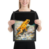 Tableau Grenouille Aux Taches Noires