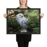 Tableau Chouette Blanche