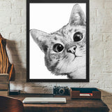 tableau chat noir et blanc