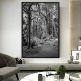 tableaux noirs et blancs