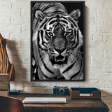 tableau tigre blanc et noir