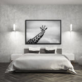 Tableau Girafe Noir et Blanc (Nuages)