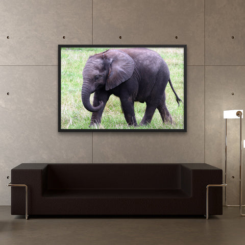 Tableau Elephant