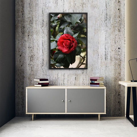 Tableau Roses Anciennes