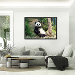 Tableau Panda Cool