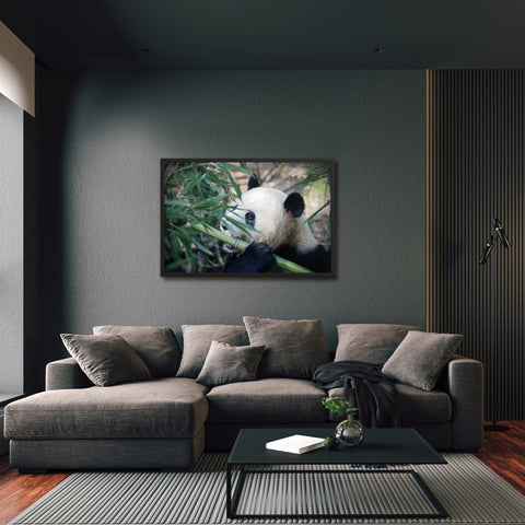 Tableau Panda Enfant & Bambou