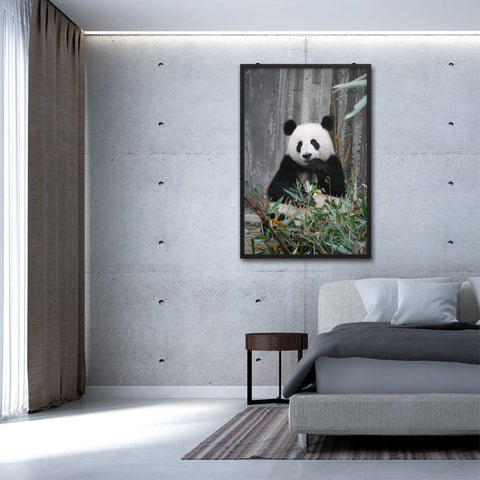 Tableau Panda